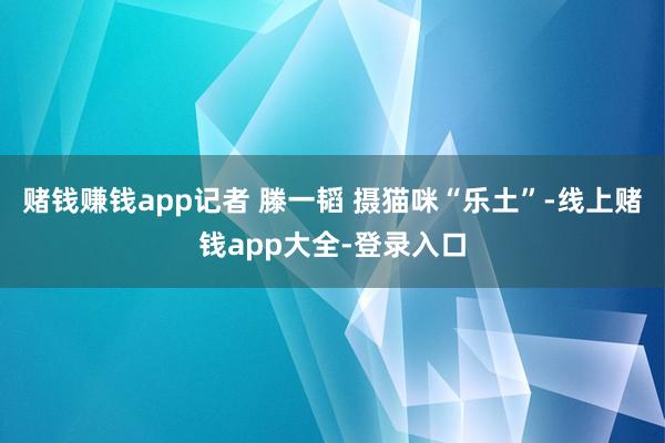 赌钱赚钱app记者 滕一韬 摄猫咪“乐土”-线上赌钱app大全-登录入口